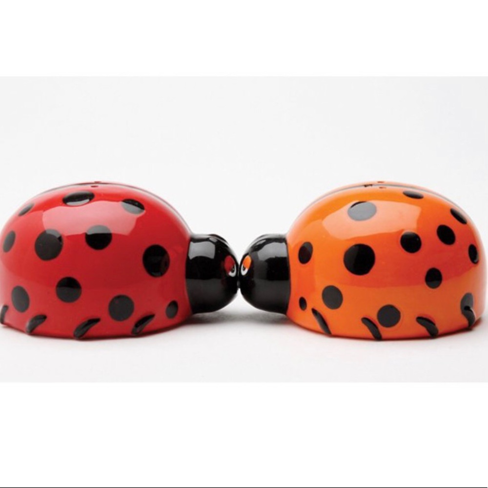 LOVELY LADY BUGS MAGNETI SALT & PEPPER SHAKER SET